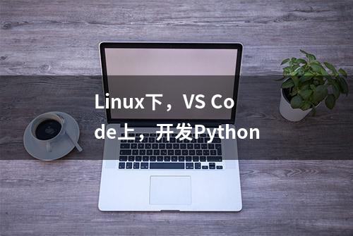 Linux下，VS Code上，开发Python