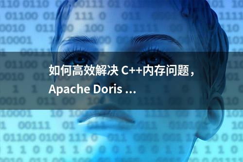 如何高效解决 C++内存问题，Apache Doris 实践之路｜技术解析