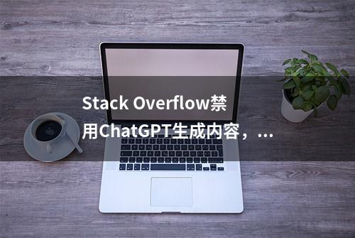 Stack Overflow禁用ChatGPT生成内容，网友：人类和AI快打起来