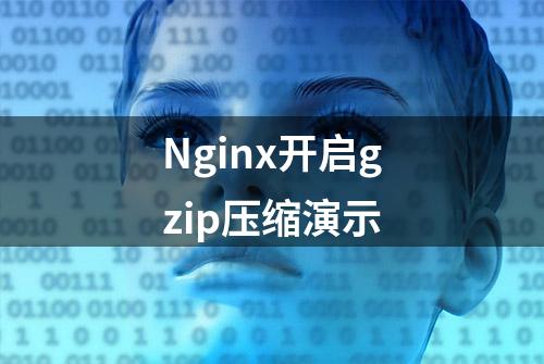 Nginx开启gzip压缩演示