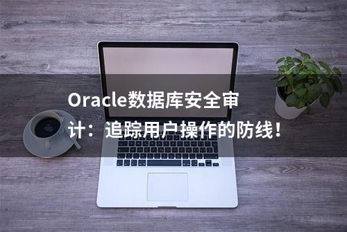 Oracle数据库安全审计：追踪用户操作的防线！