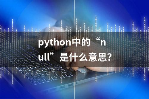 python中的“null”是什么意思？