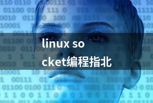 linux socket编程指北