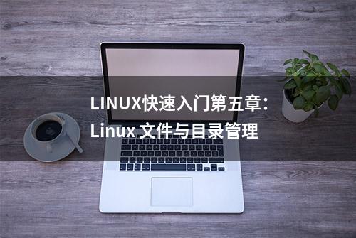 LINUX快速入门第五章：Linux 文件与目录管理