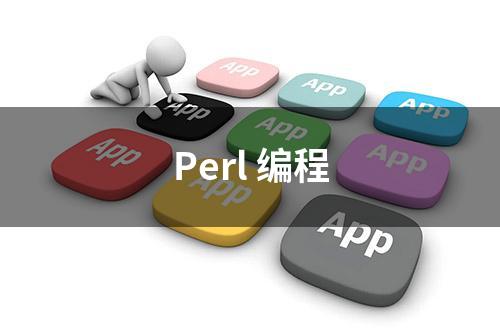Perl 编程