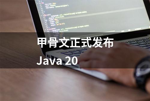 甲骨文正式发布Java 20