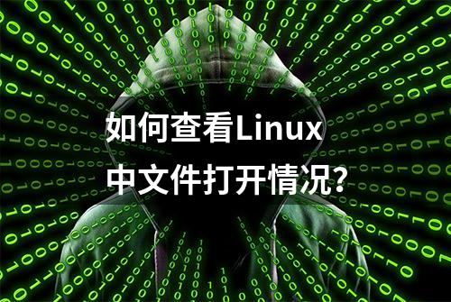 如何查看Linux中文件打开情况？