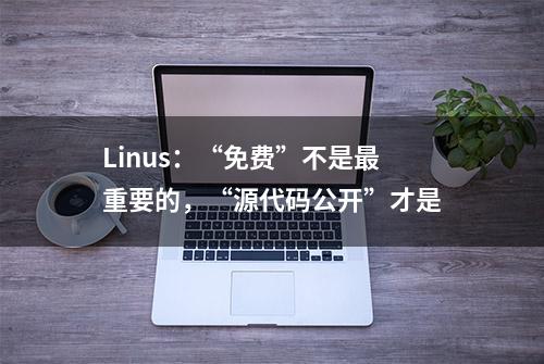 Linus：“免费”不是最重要的，“源代码公开”才是