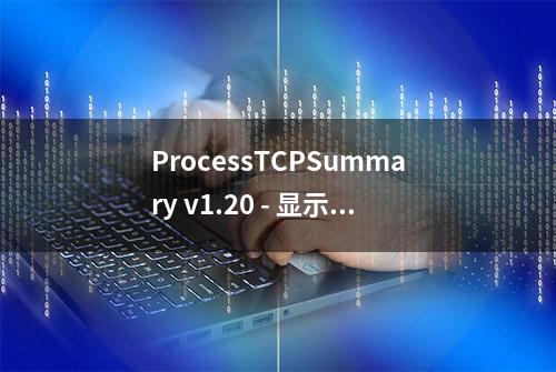 ProcessTCPSummary v1.20 - 显示每个Windows进程的TCP连接数