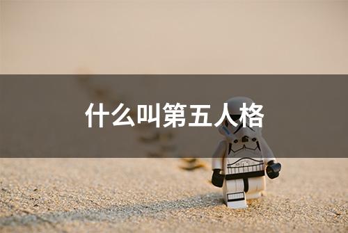 什么叫第五人格