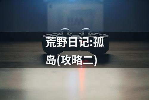 荒野日记:孤岛(攻略二)