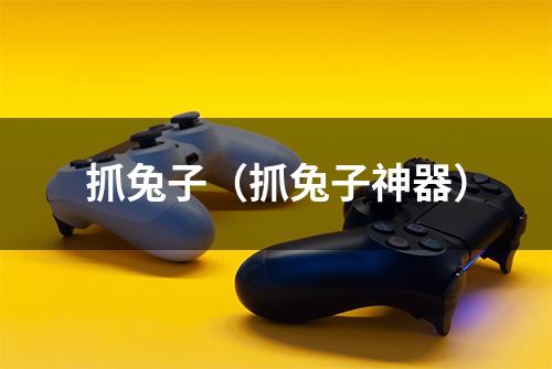 抓兔子（抓兔子神器）