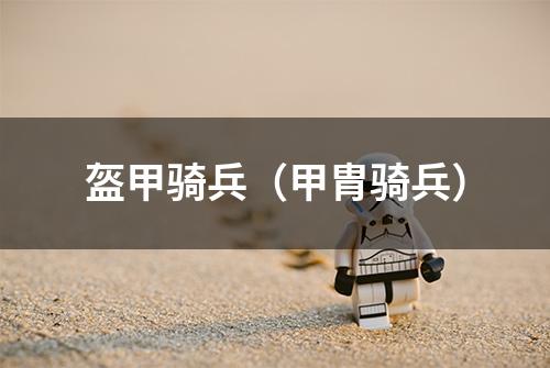 盔甲骑兵（甲胄骑兵）