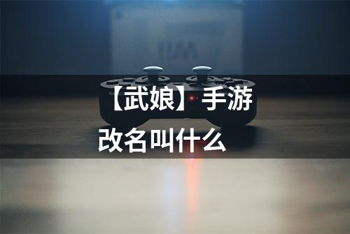 【武娘】手游改名叫什么