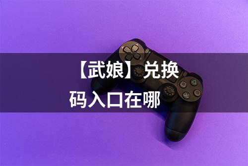 【武娘】兑换码入口在哪