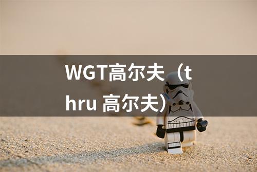 WGT高尔夫（thru 高尔夫）