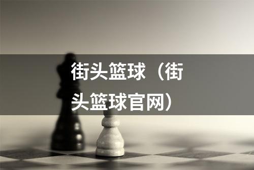 街头篮球（街头篮球官网）