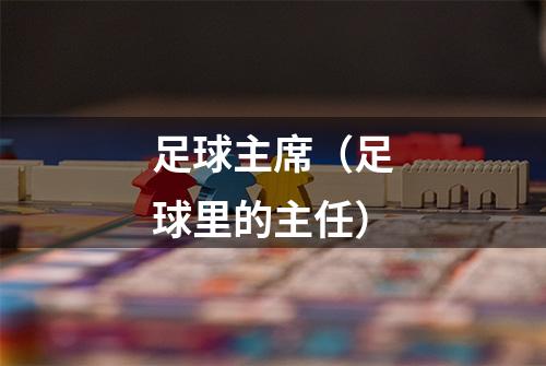 足球主席（足球里的主任）