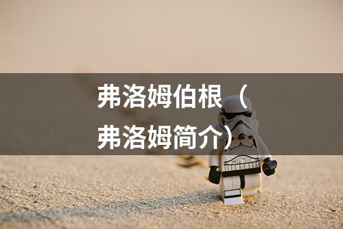 弗洛姆伯根(弗洛姆简介)