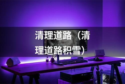 清理道路(清理道路积雪)