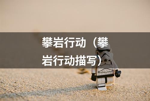 攀岩行动（攀岩行动描写）