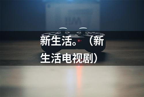 新生活。(新生活电视剧)