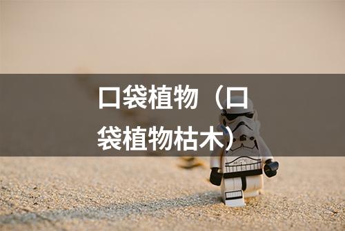 口袋植物（口袋植物枯木）