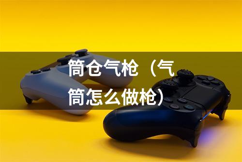 筒仓气枪（气筒怎么做枪）