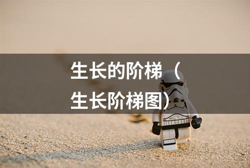 生长的阶梯（生长阶梯图）