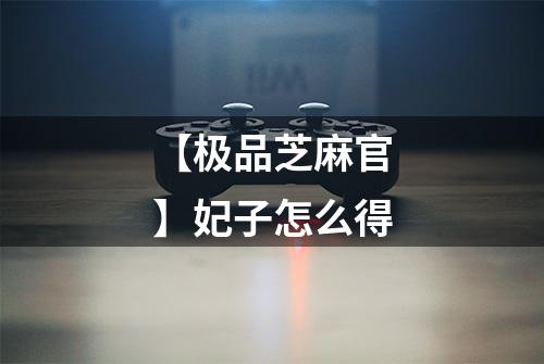 【极品芝麻官】妃子怎么得