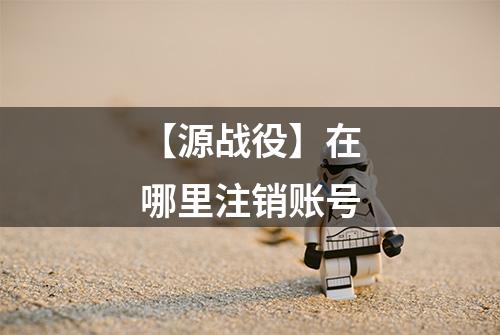 【源战役】在哪里注销账号