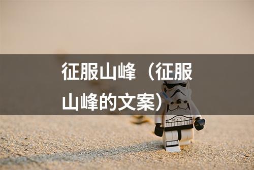 征服山峰（征服山峰的文案）