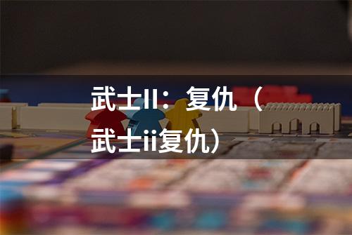 武士II：复仇（武士ii复仇）