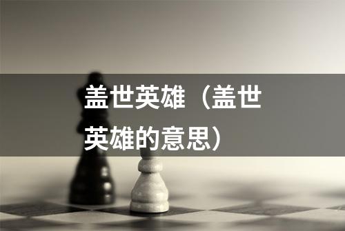 盖世英雄(盖世英雄的意思)