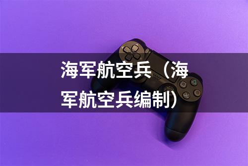 海军航空兵（海军航空兵编制）