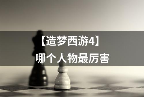 【造梦西游4】哪个人物最厉害