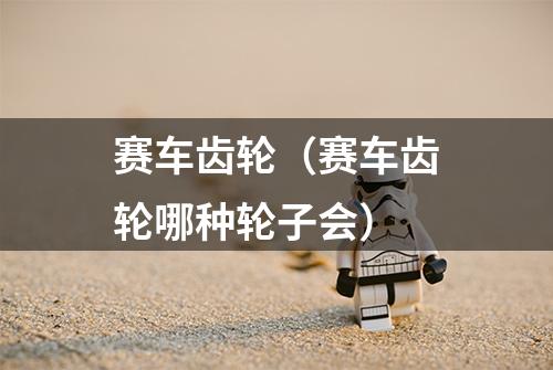 赛车齿轮（赛车齿轮哪种轮子会）