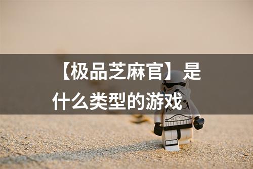 【极品芝麻官】是什么类型的游戏