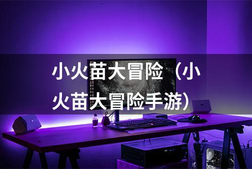 小火苗大冒险（小火苗大冒险手游）