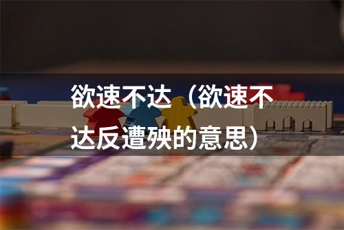 欲速不达（欲速不达反遭殃的意思）