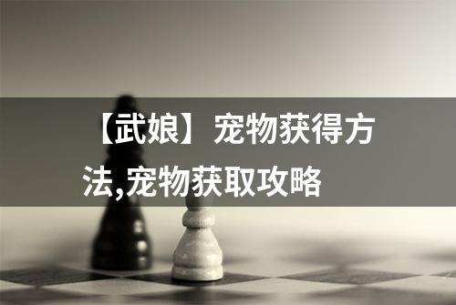 【武娘】宠物获得方法,宠物获取攻略