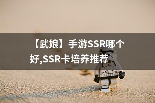 【武娘】手游SSR哪个好,SSR卡培养推荐