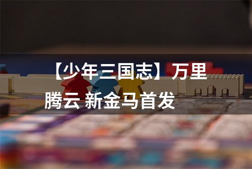 【少年三国志】万里腾云 新金马首发