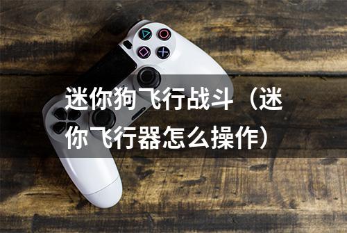 迷你狗飞行战斗（迷你飞行器怎么操作）