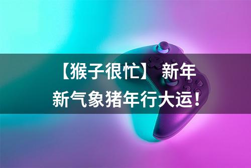 【猴子很忙】 新年新气象猪年行大运！