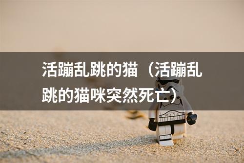 活蹦乱跳的猫(活蹦乱跳的猫咪突然死亡)