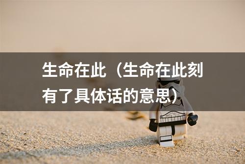 生命在此（生命在此刻有了具体话的意思）