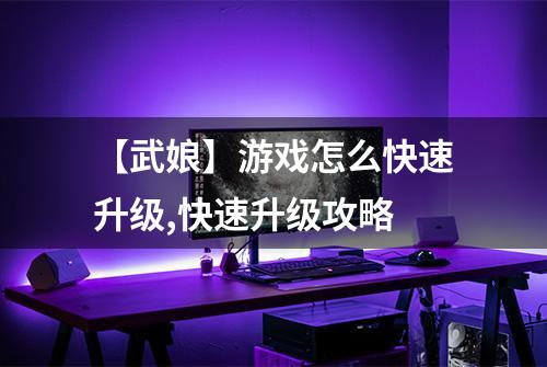 【武娘】游戏怎么快速升级,快速升级攻略