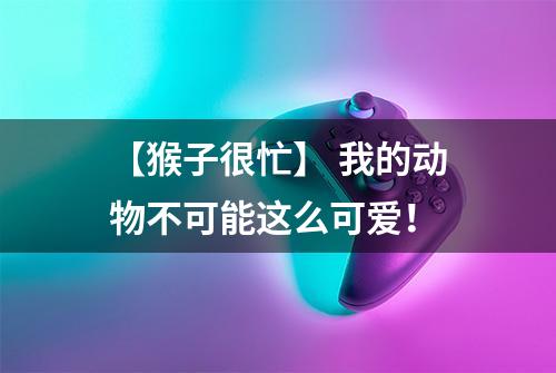 【猴子很忙】 我的动物不可能这么可爱！