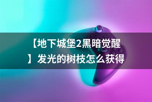 【地下城堡2黑暗觉醒】发光的树枝怎么获得